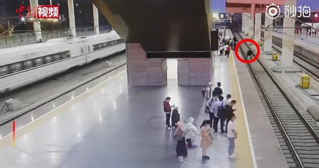 Angry Woman Jumps Onto Train Tracks Whilst Fighting With Her Drunk Boyfriend